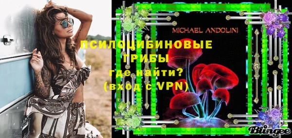 прущие грибы Михайловск