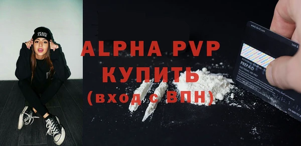прущие грибы Михайловск