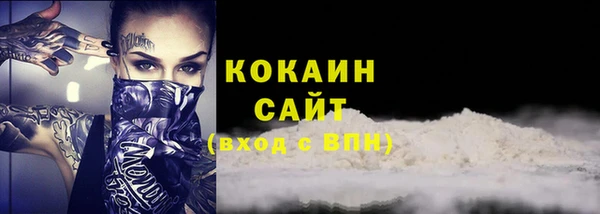 прущие грибы Михайловск