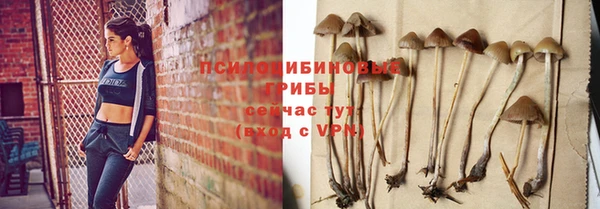 прущие грибы Михайловск