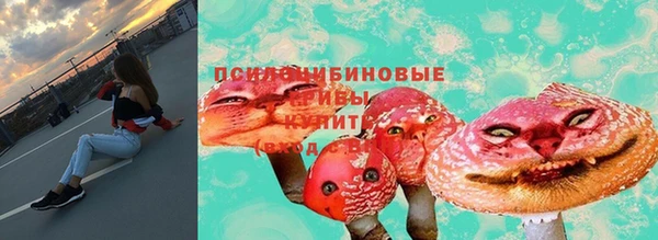 прущие грибы Михайловск