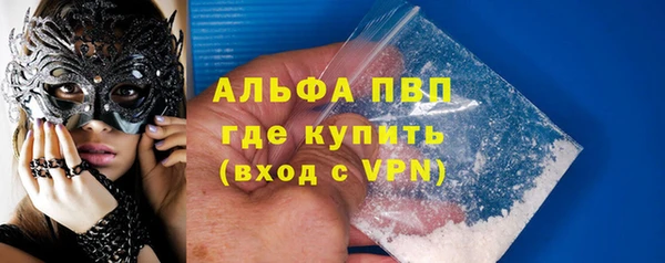 прущие грибы Михайловск